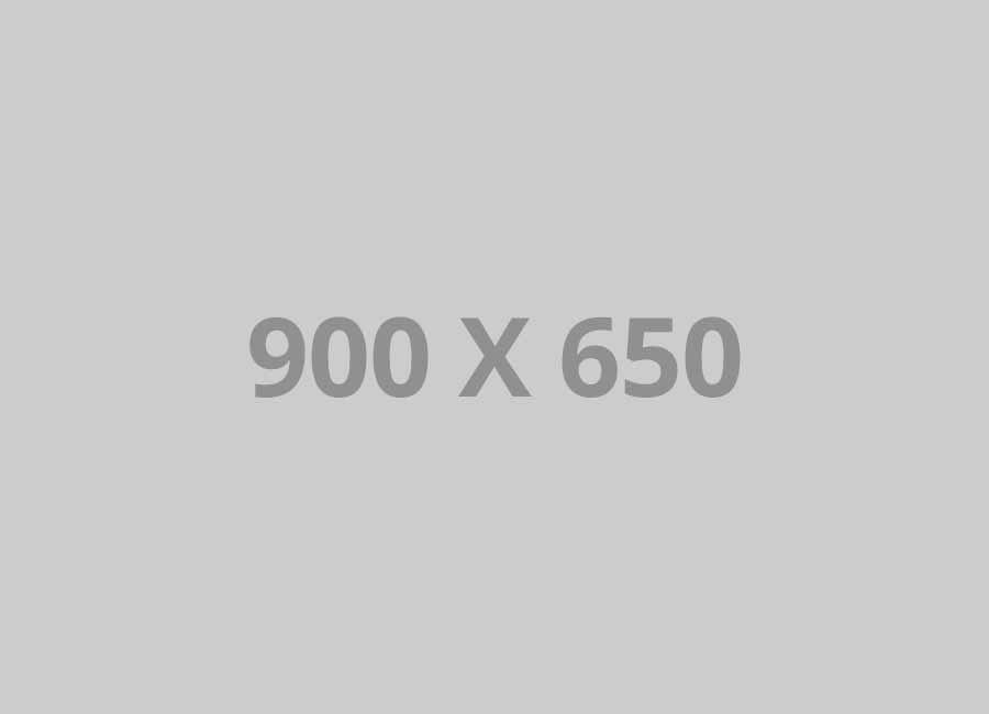 pofo 900x650