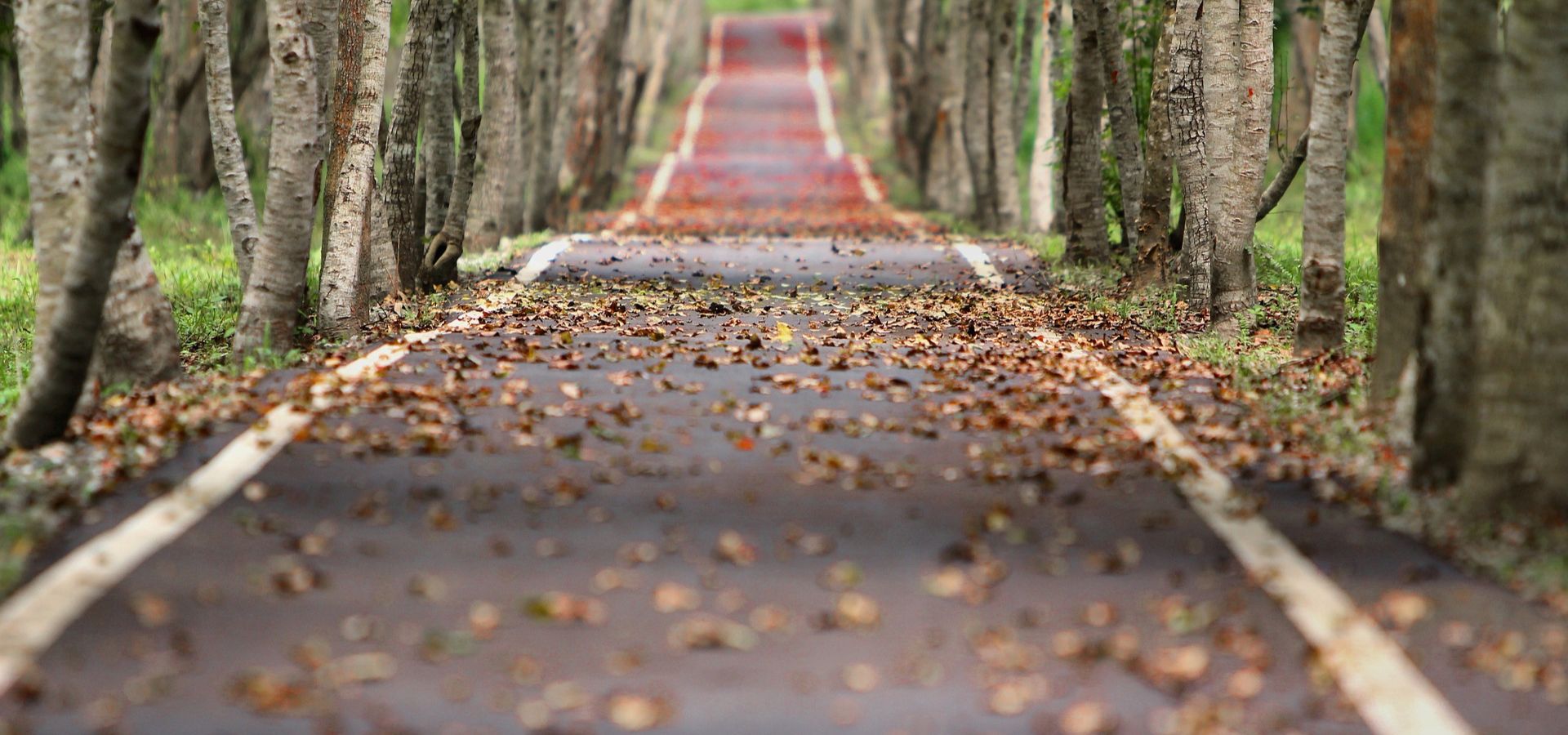 Road Home